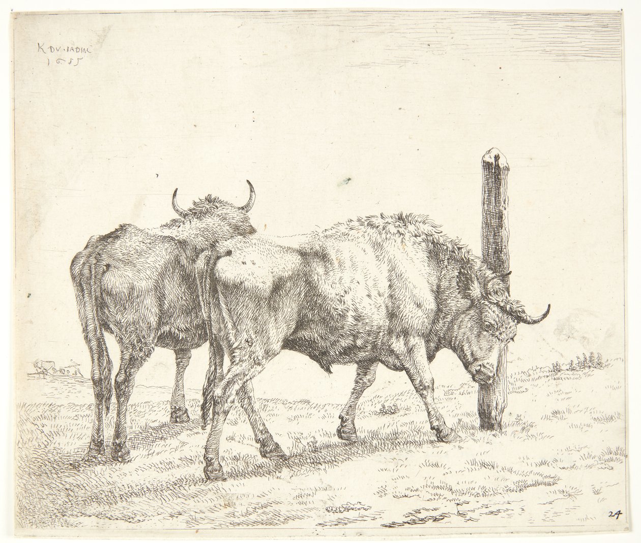 Os Dois Bois de Karel Du Jardin