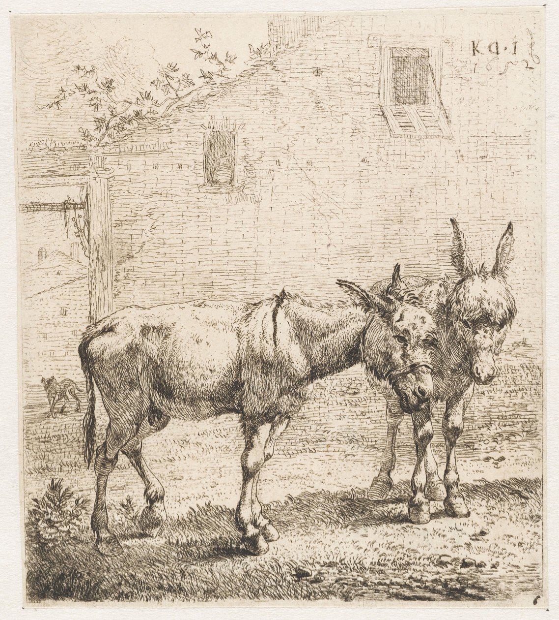 Dois burros
Animais (título da série) de Karel Du Jardin