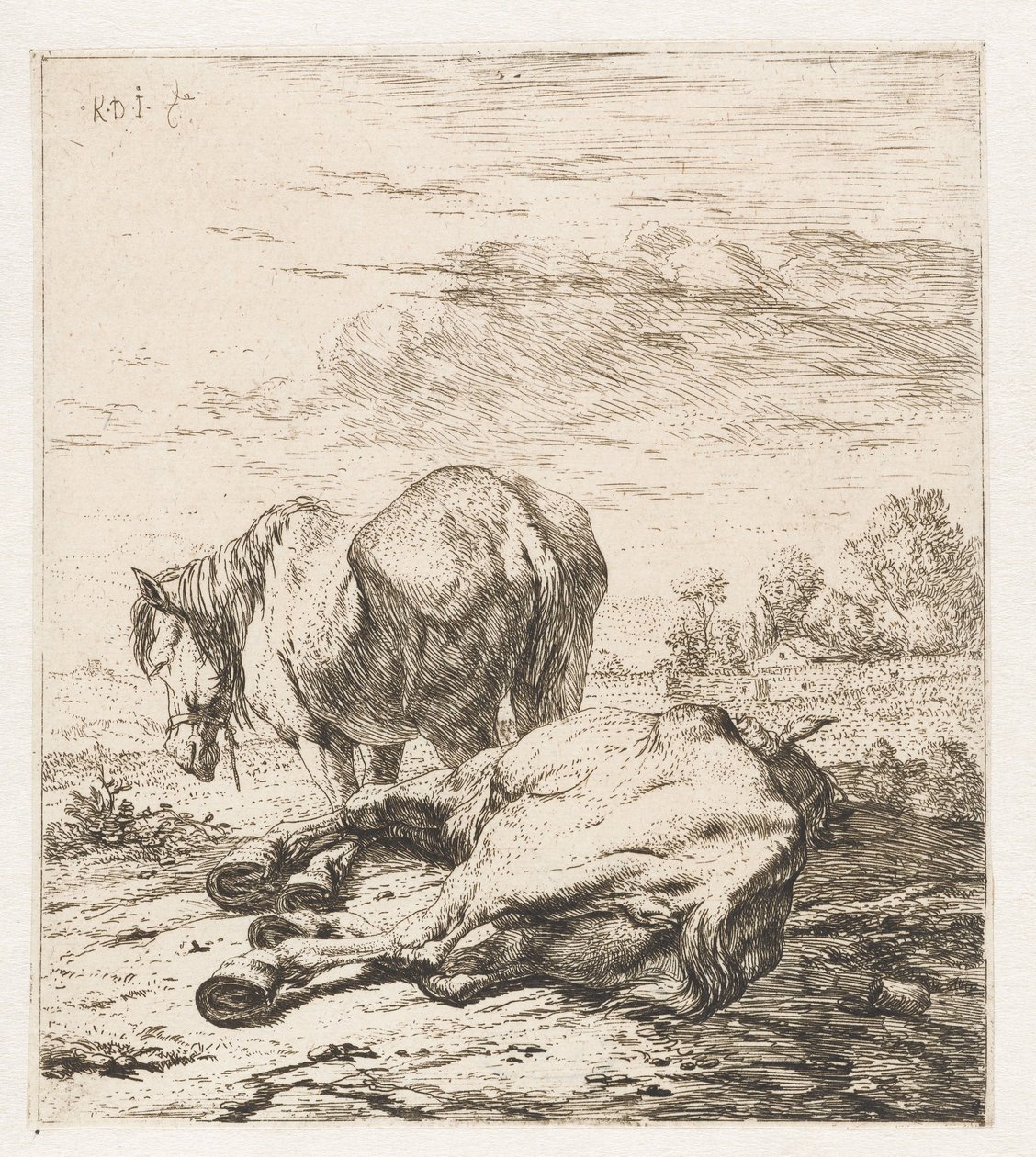 Dois cavalos Animais (título da série) de Karel Du Jardin