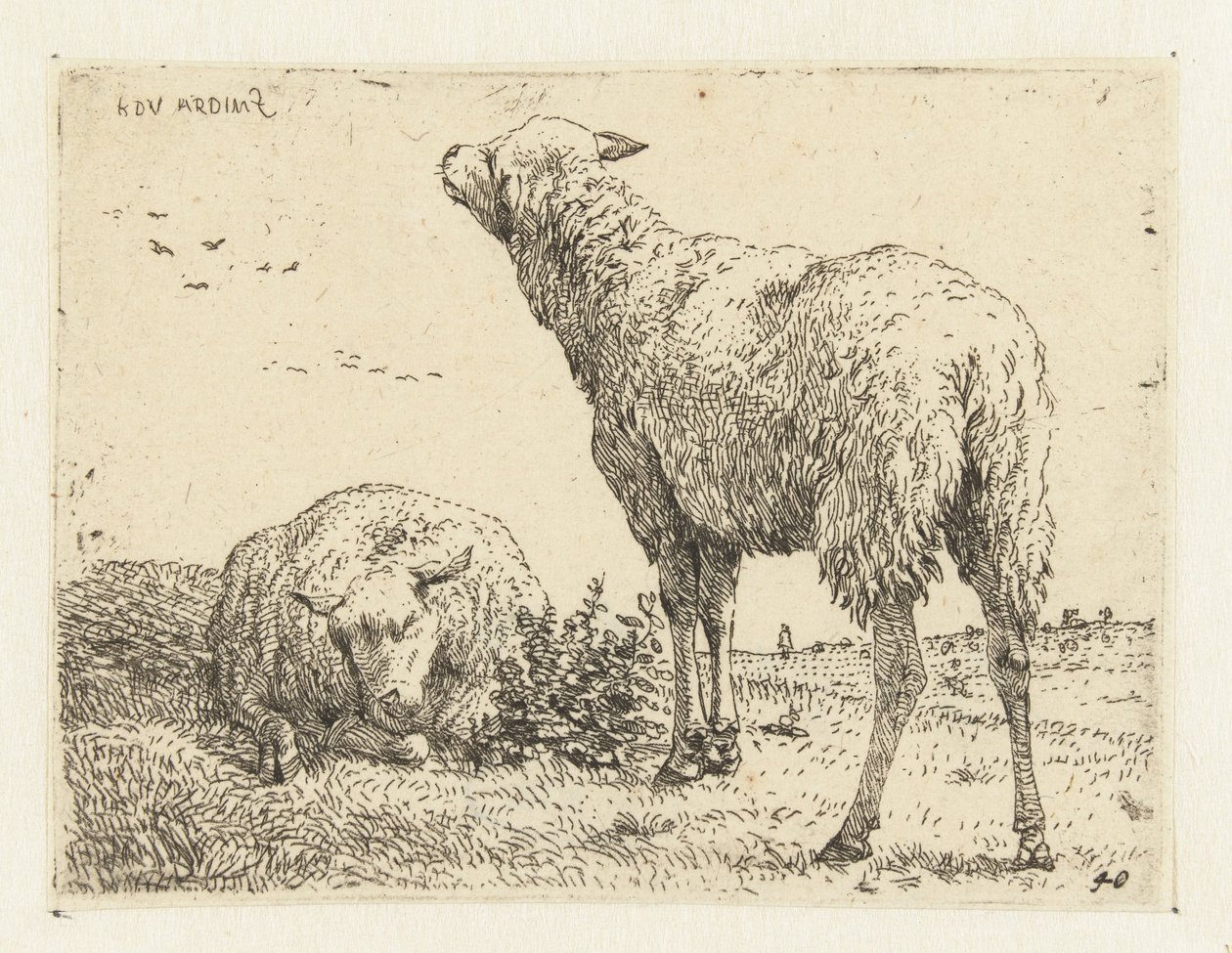 Duas ovelhas de Karel Du Jardin