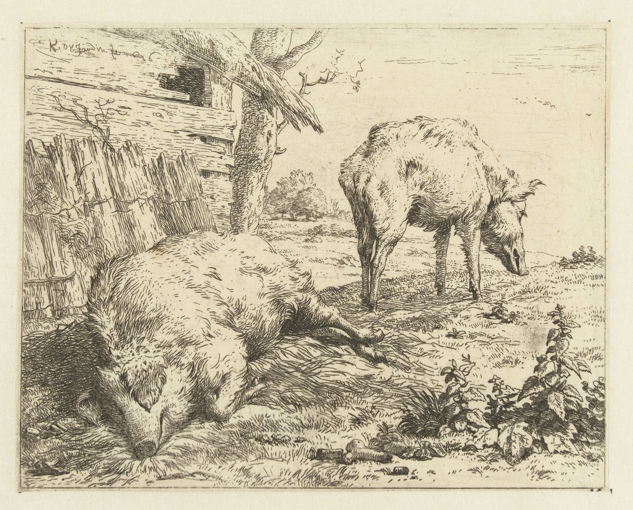 Dois porcos de Karel Du Jardin
