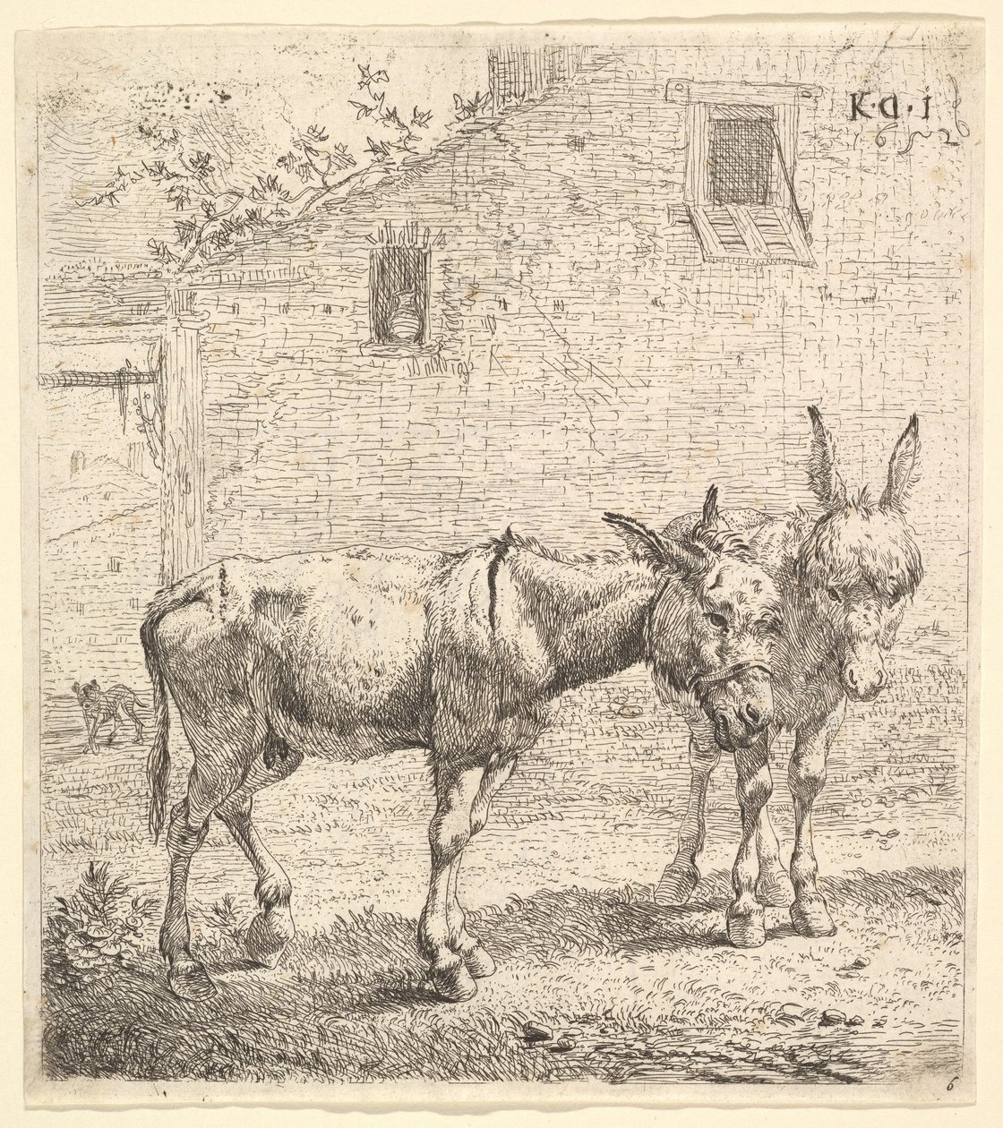Dois burros em pé em um quintal gramado, um na vista de perfil voltado para a direita e outro para trás ..., 1652. de Karel Du Jardin