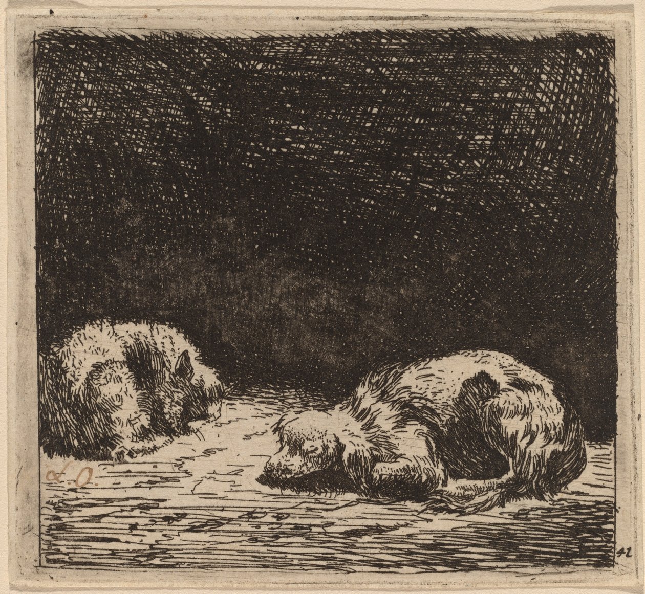 Cão e gato de Karel Dujardin