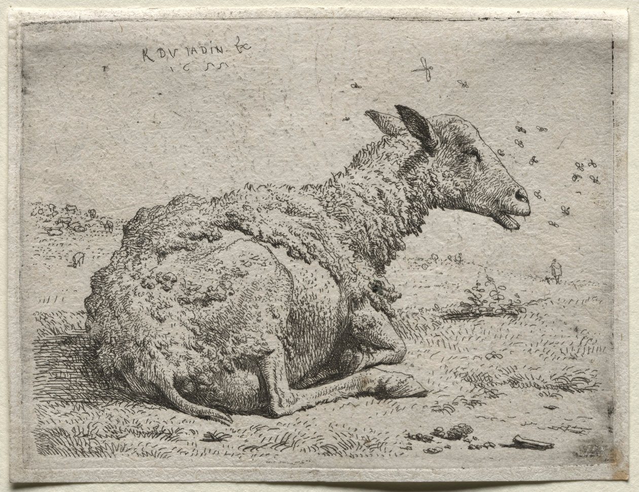 As ovelhas e as moscas. de Karel Dujardin