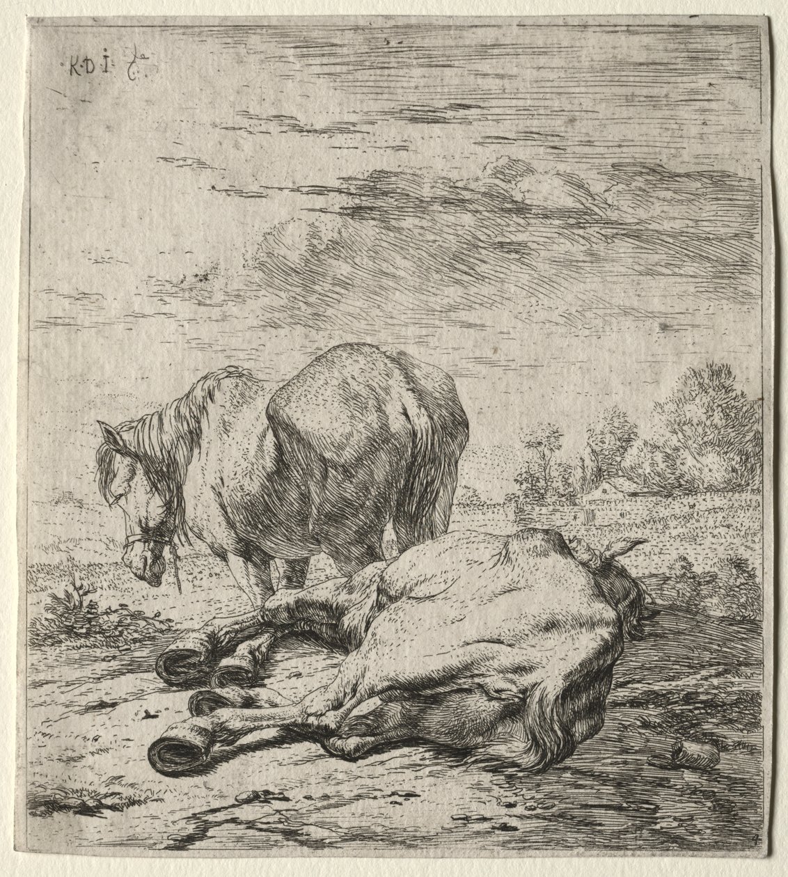 Os dois cavalos de Karel Dujardin
