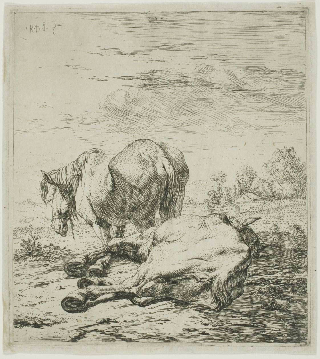 Dois cavalos de Karel Dujardin