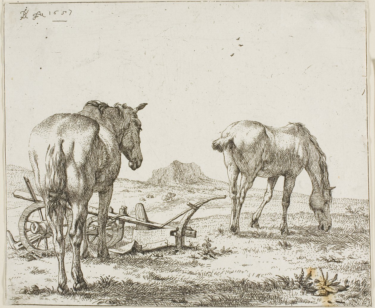 Dois cavalos por um arado de Karel Dujardin