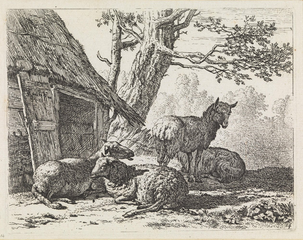 Quatro ovelhas de Karel Dujardin