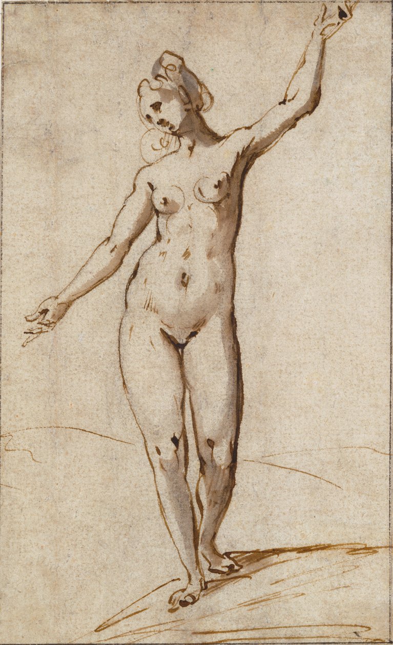 Nu feminino de Karel Van Mander