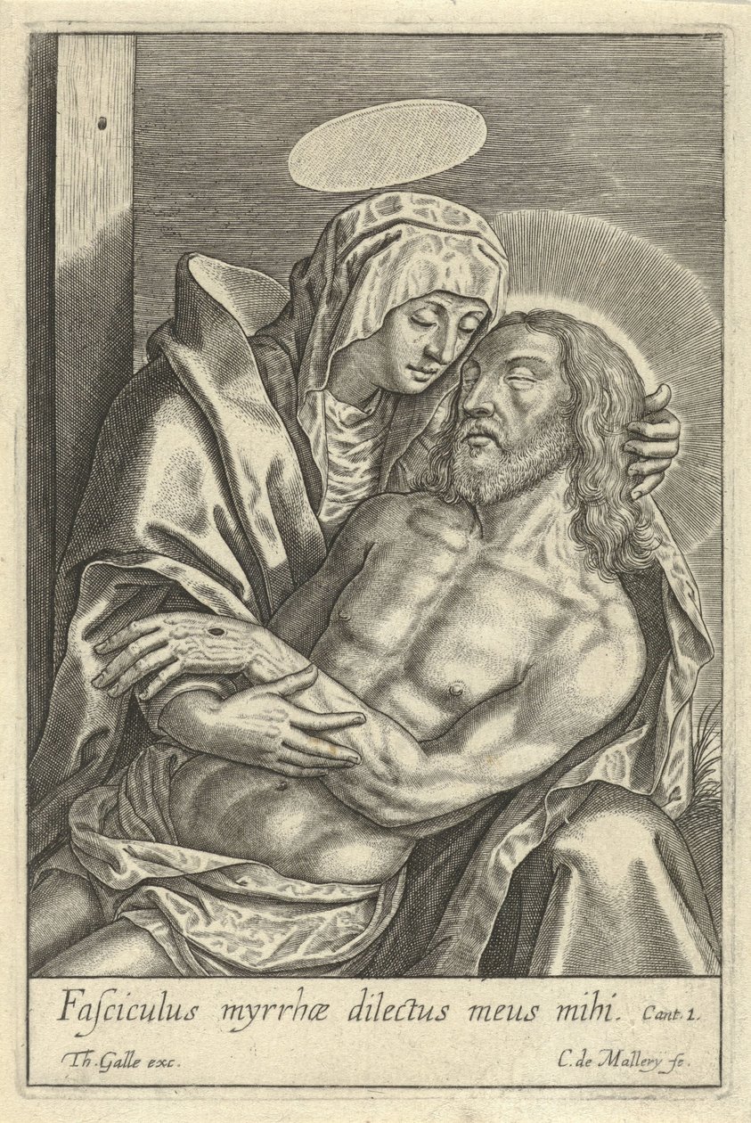 Pietá de Karel van Mallery