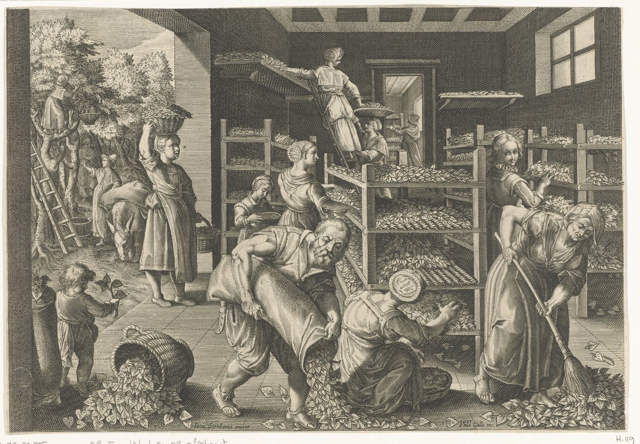 Coletando folhas de amoreira e alimentando os bichos-da-seda Introdução do bicho-da-seda e da produção de seda na Europa (título da série) Vermis Sericus (título da série no objeto) de Karel van Mallery
