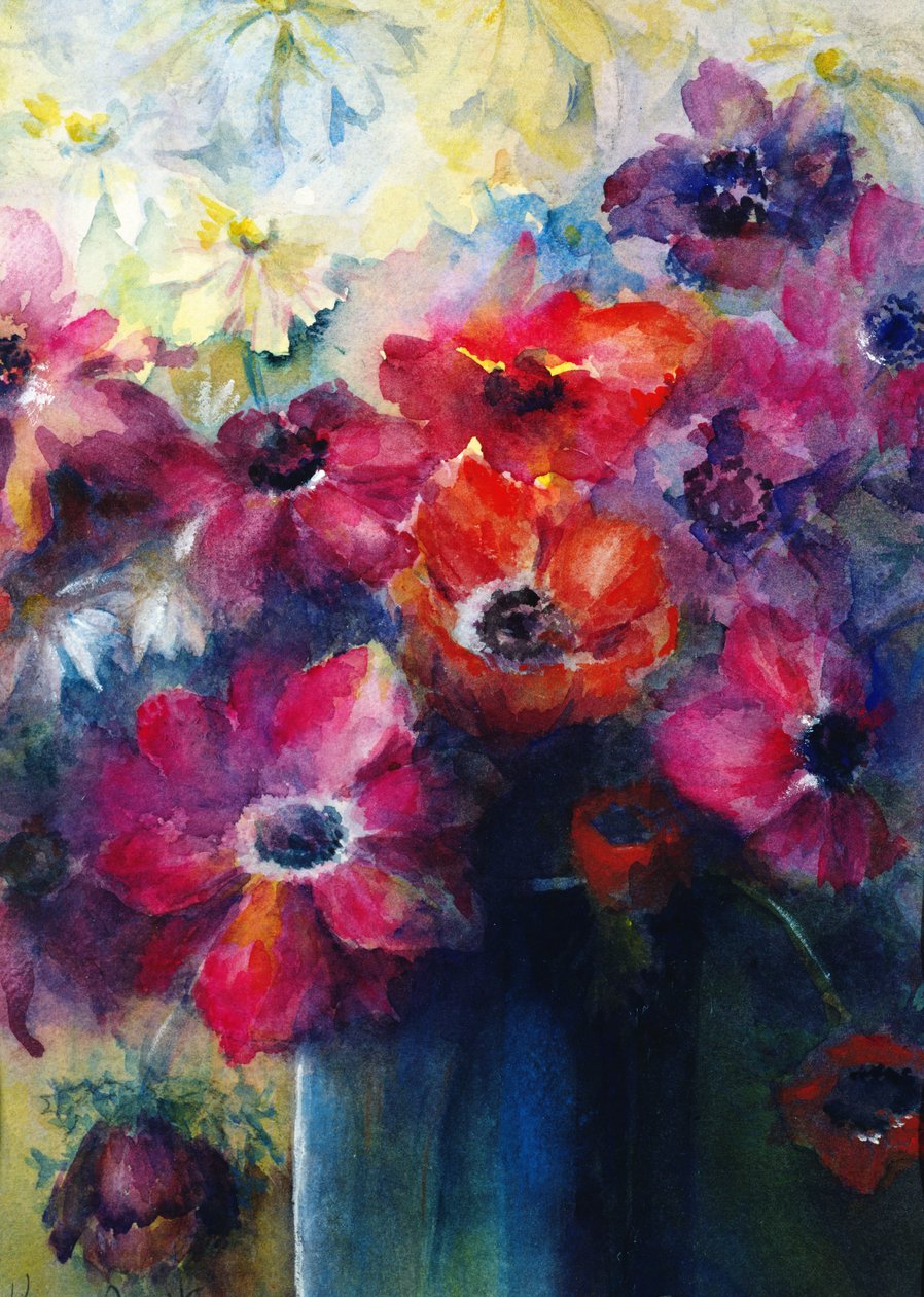 Anêmonas Caen com Margaridas de Karen Armitage