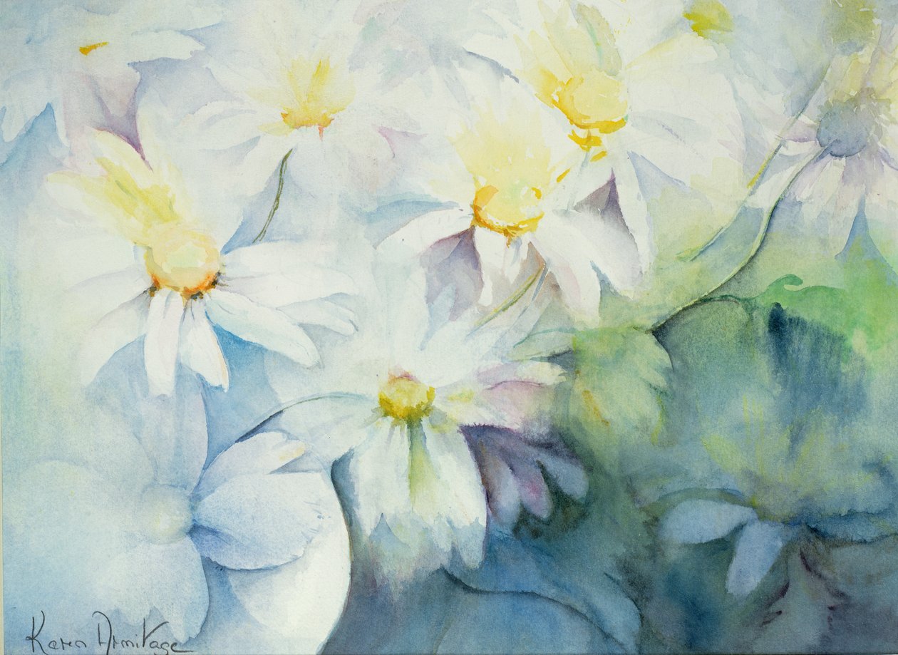 Margaridas, Shasta de Karen Armitage