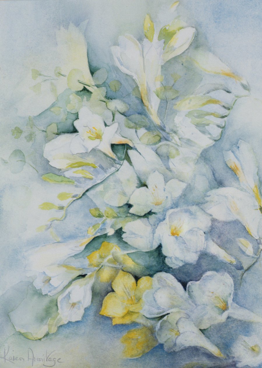 Freesia Eldus, gigante branco de Karen Armitage