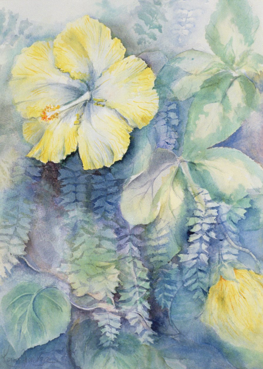 Hibisco amarelo de Karen Armitage