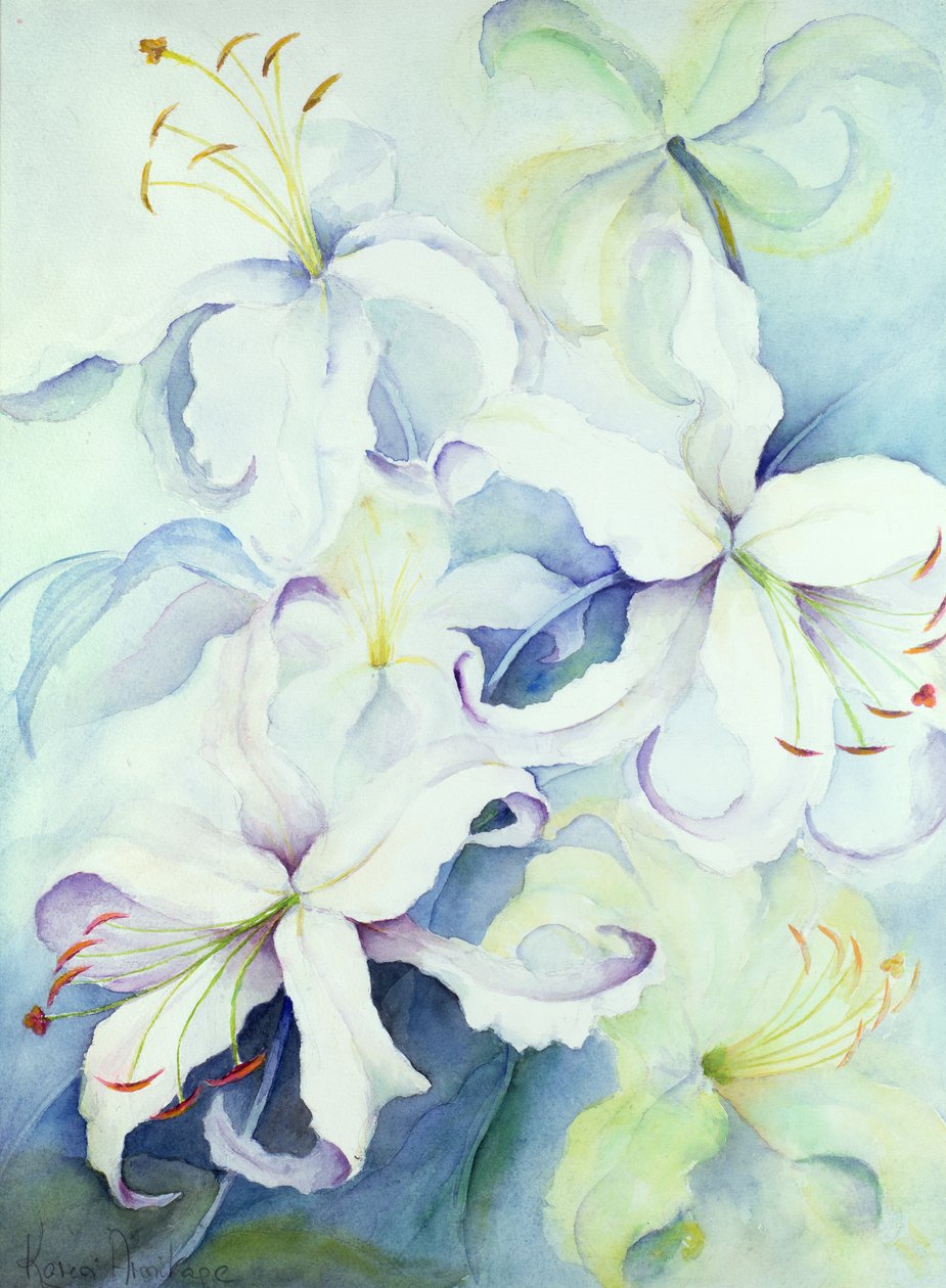 Lilium, Ouro Imperial de Karen Armitage