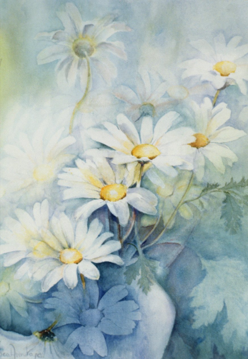 Margaridas, Alexandria de Karen Armitage