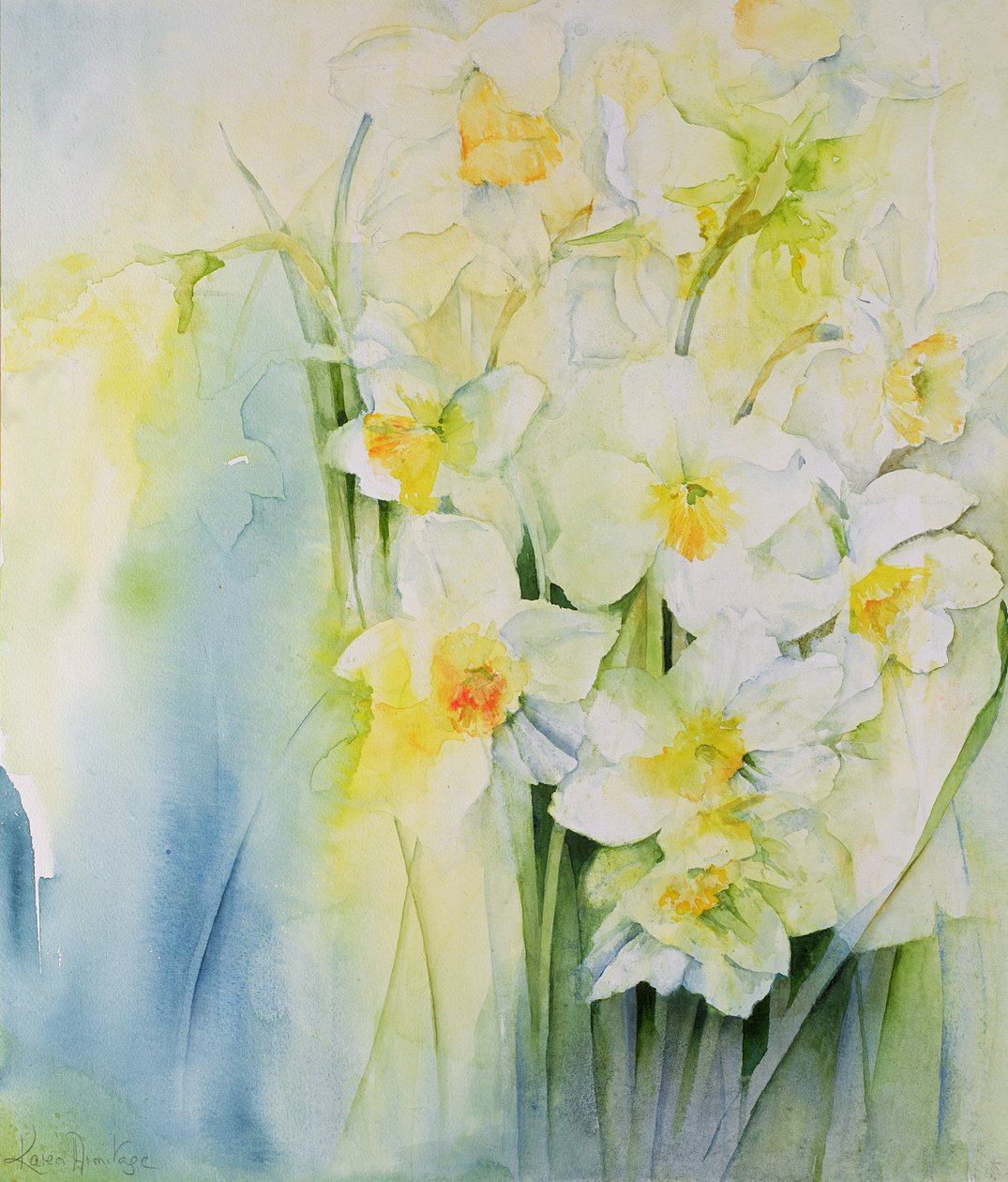 Narcisos e frésia de Karen Armitage