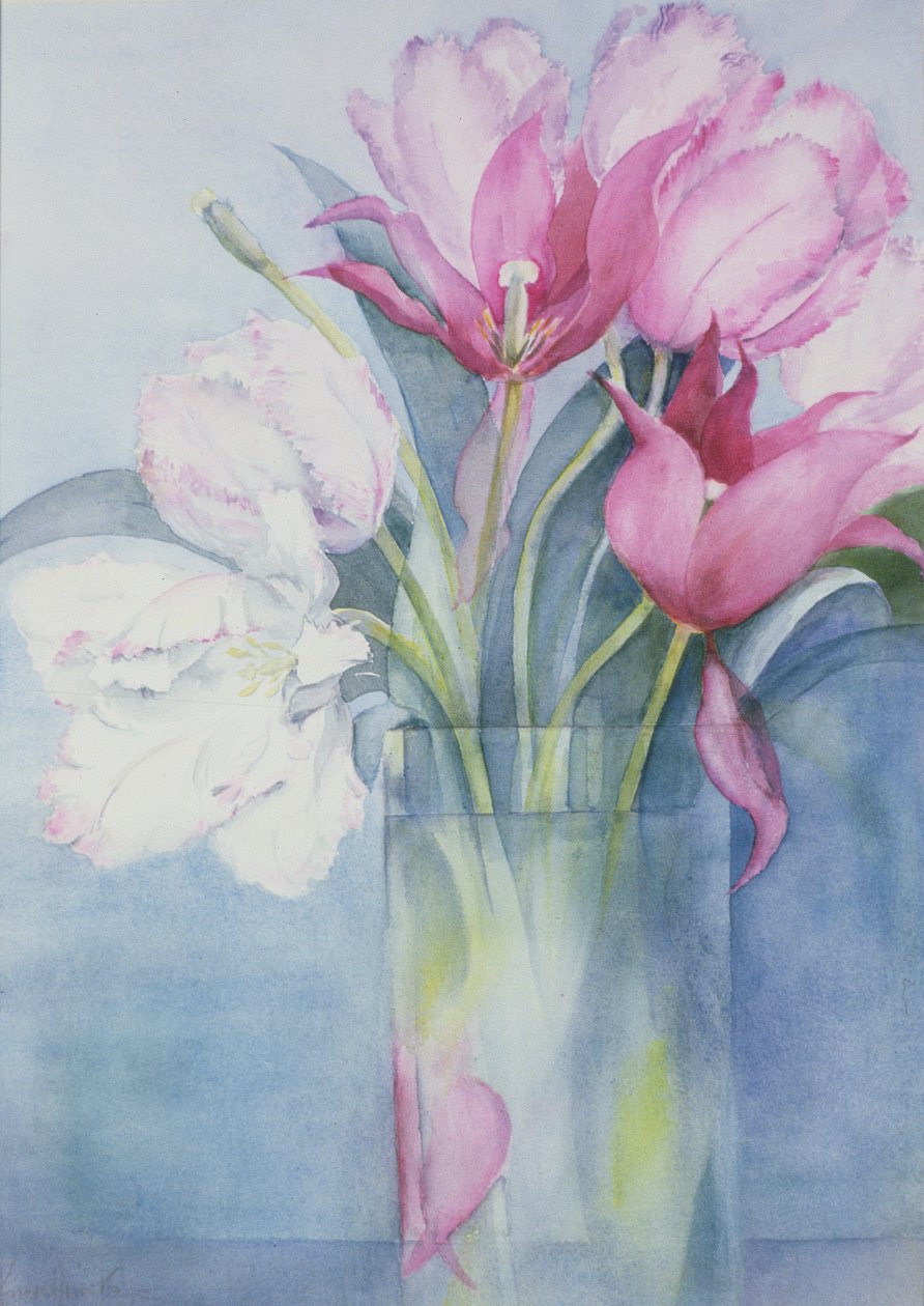 Tulipas de papagaio-de-rosa e marlette de Karen Armitage