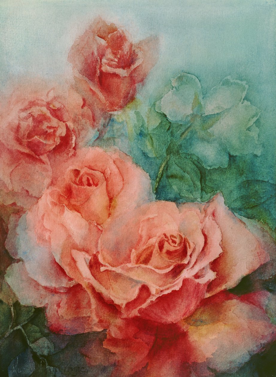 Rosas cor-de-rosa, bailarina de Prima de Karen Armitage