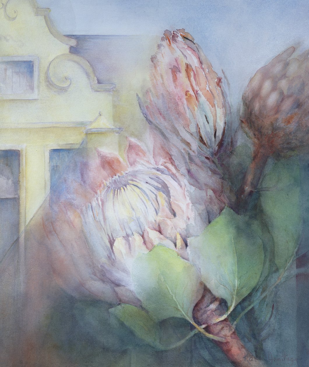 Protea em Stellenbosch, 1992 (wc) de Karen Armitage
