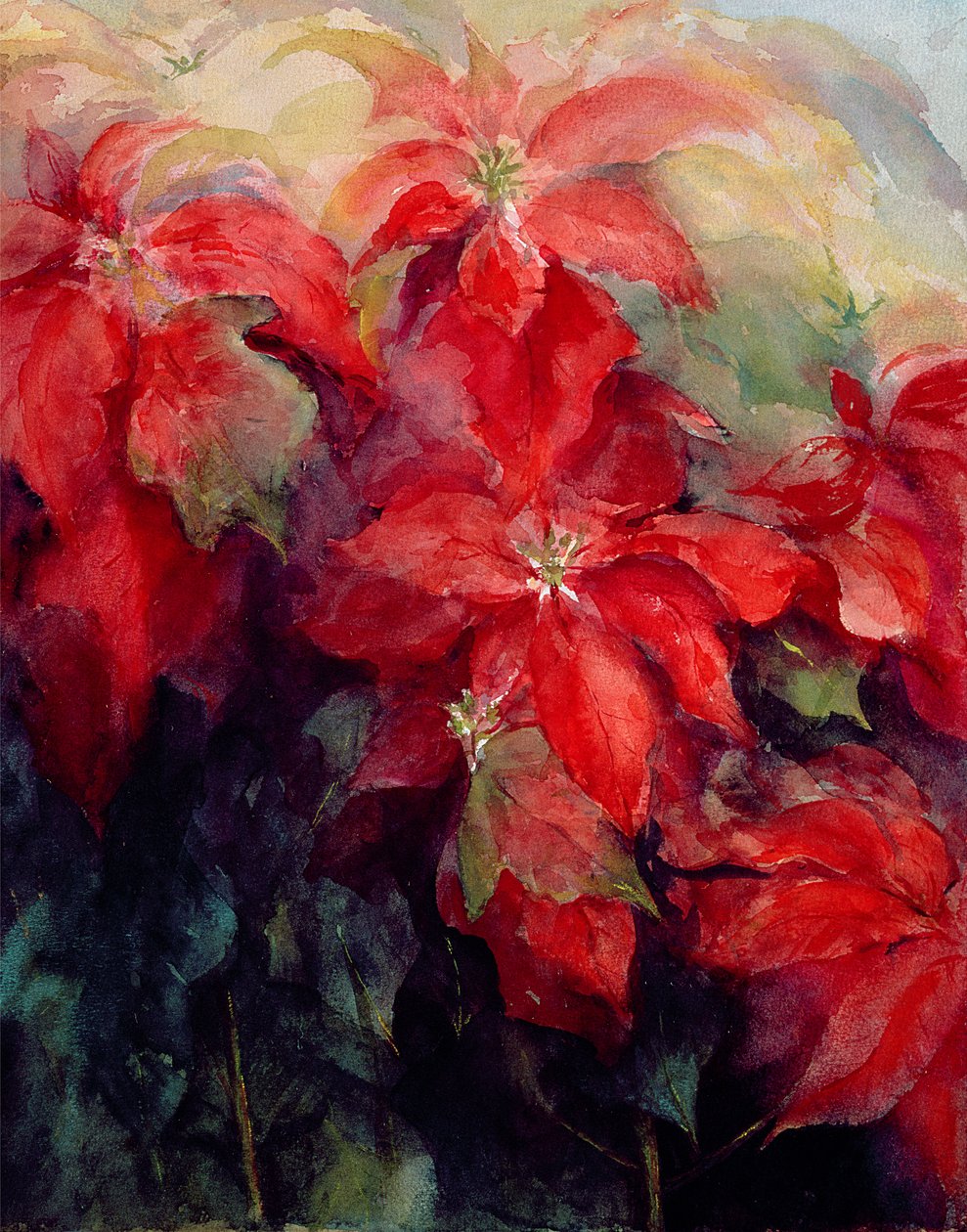 Poinsétias vermelhas de Karen Armitage