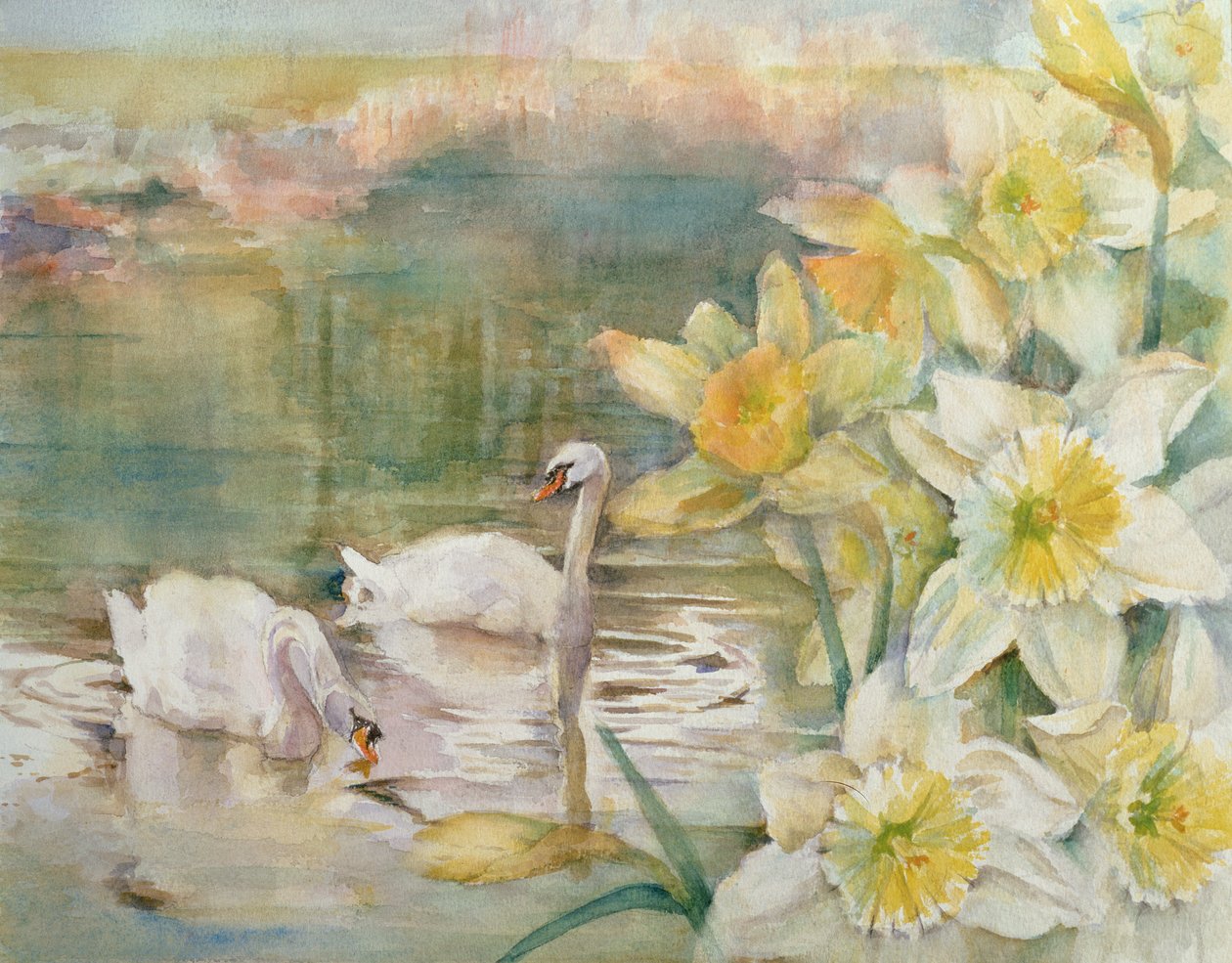Cisnes em Hurst de Karen Armitage