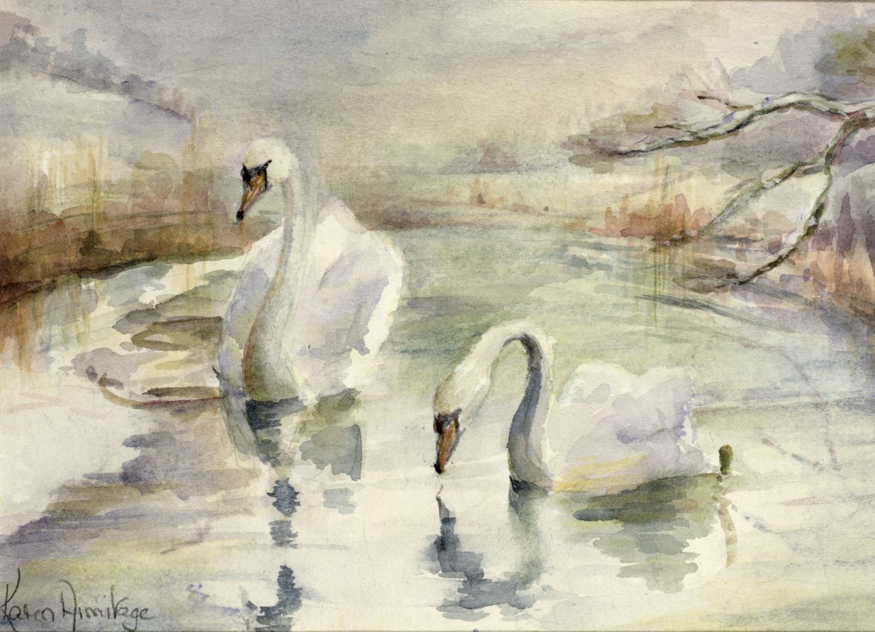 Cisnes no inverno de Karen Armitage