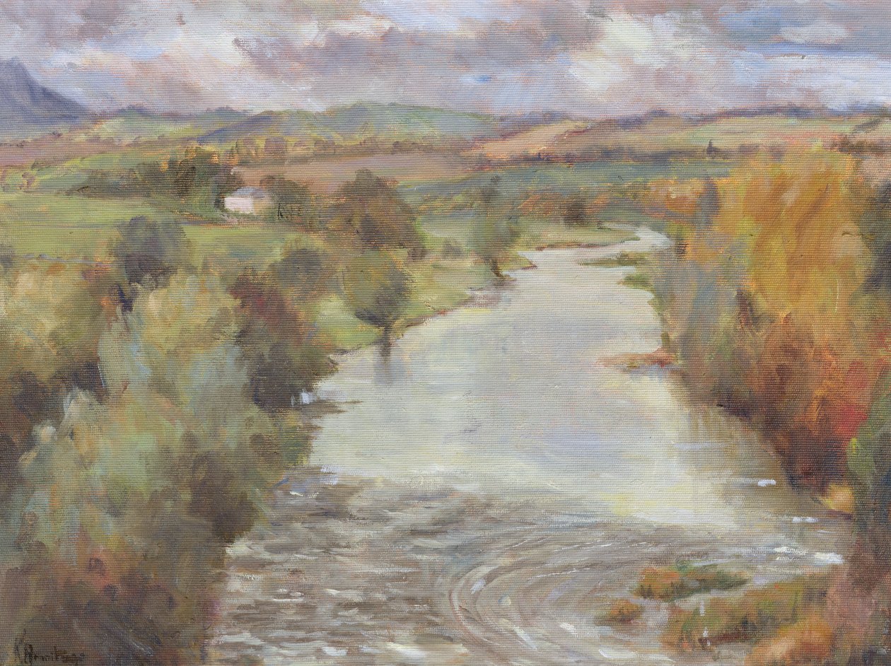O rio Tweed, Roxburghshire, 1995 de Karen Armitage