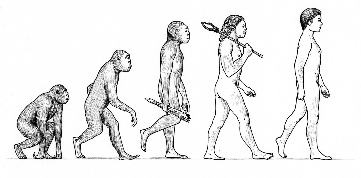 Evolução do Homem de Karen Humpage