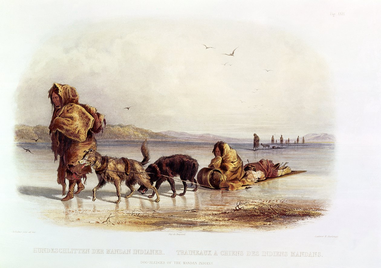 Trenós de cães dos índios Mandan de Karl Bodmer
