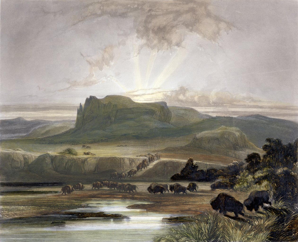 Rebanho de bisontes no Missouri superior, prato 40 do volume 2 de "Viagens no interior da América do Norte", gravado por William James Bishop (1805-88) e Sigismond Himely (1801-72) 1844 (aquatint) de Karl Bodmer