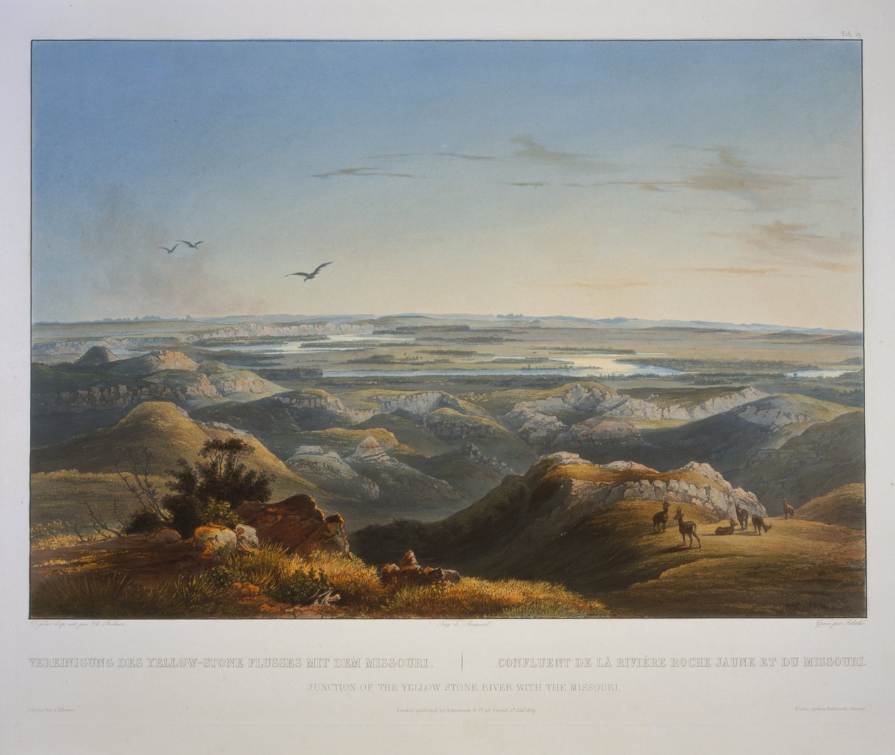 Junção do rio Yellowstone com o Missouri de Karl Bodmer