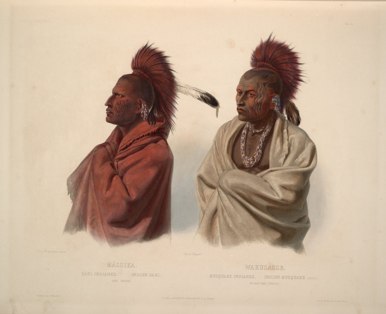 Saki indiano e Musquake indiano de Karl Bodmer
