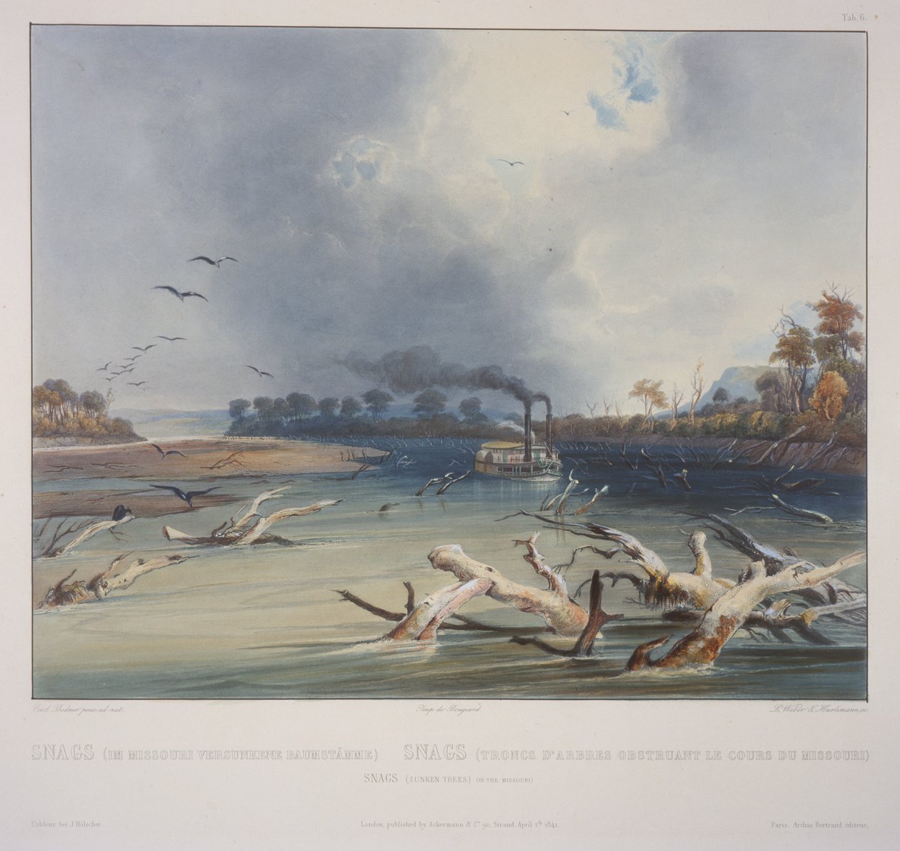 Senões (árvores submersas) no Missouri de Karl Bodmer
