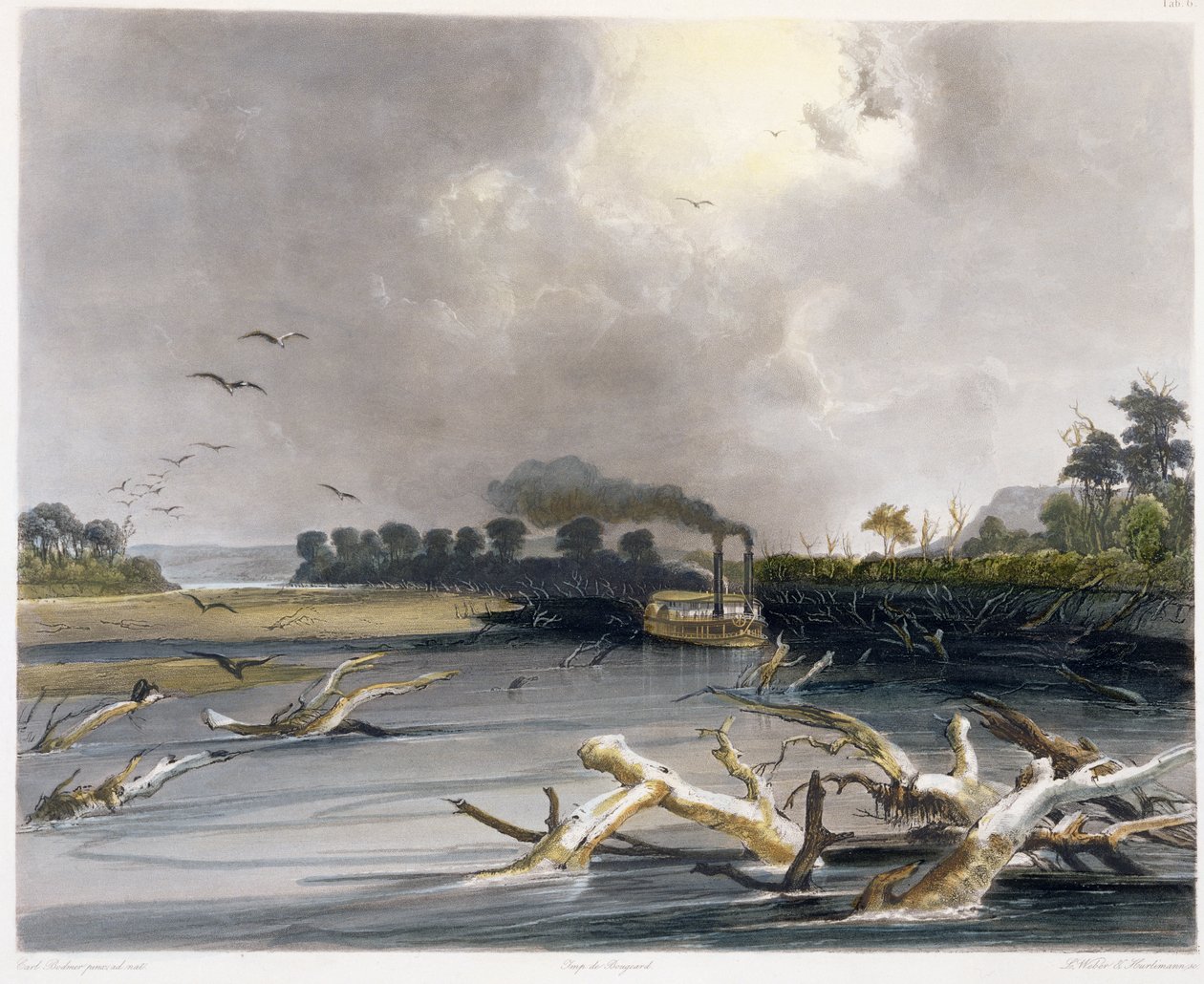 Garras (árvores afundadas) no Missouri, placa 6 do Volume 2 de &39;Viagens no Interior da América do Norte&39;, gravada por Lucas Weber e J. Hurlimann, 1844 (aquatint) de Karl Bodmer