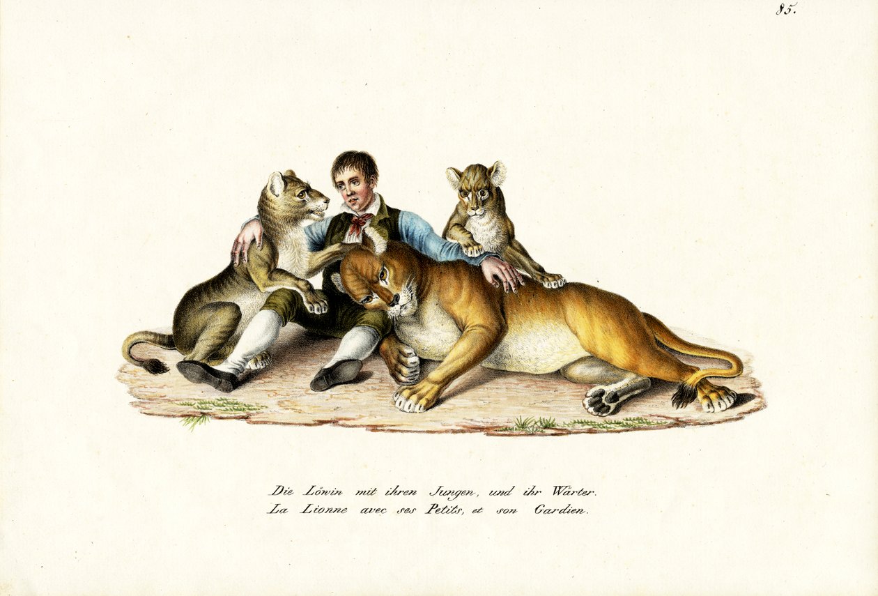 Leoa Com Filhotes, 1824 de Karl Joseph Brodtmann