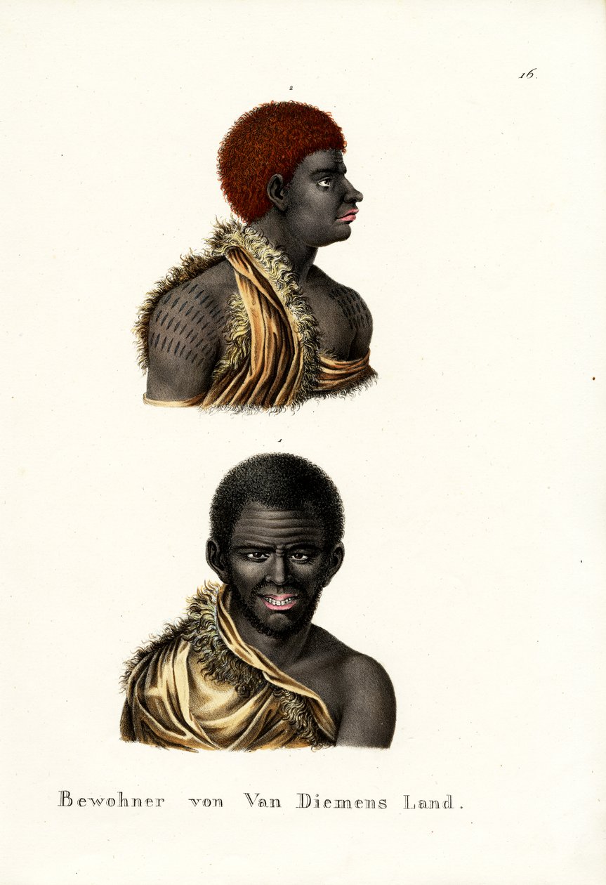 Aborígines da Tasmânia - Terra de Van Diemen, 1824 de Karl Joseph Brodtmann
