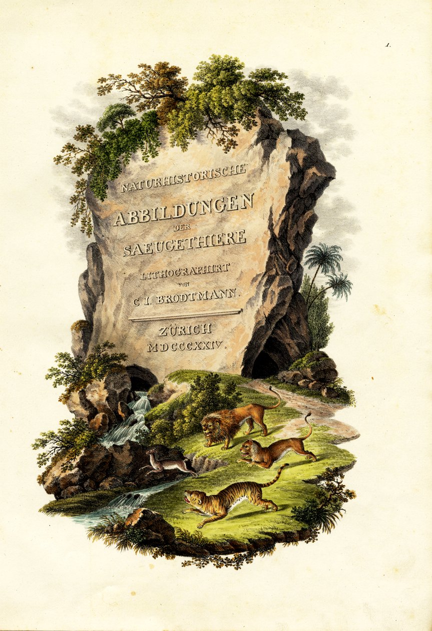 Página de título, 1824 de Karl Joseph Brodtmann