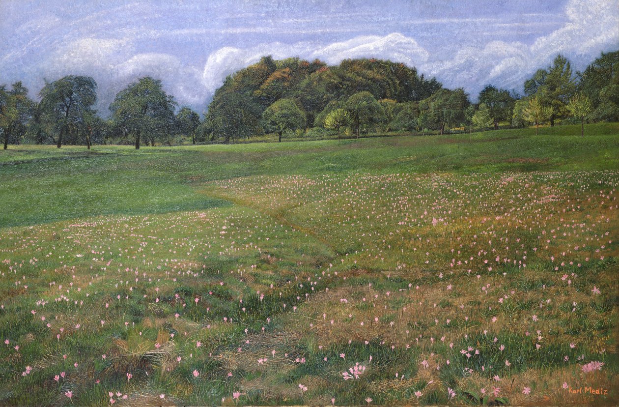 Um campo de outono Crocus, 1908 de Karl Mediz