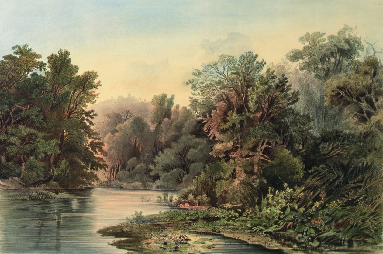 Cena de floresta em Lehigh, Pensilvânia, placa 1 do volume 2 de `Viagens no interior da América do Norte de Karl (after) Bodmer