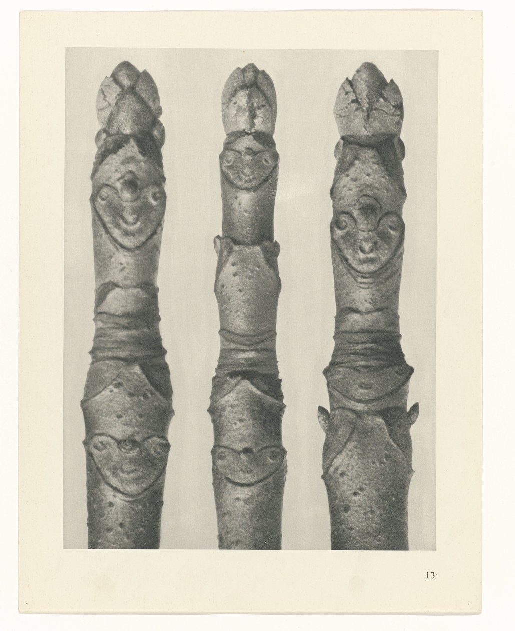Estudo das plantas
Arquétipos de Arte (título da série) de Karl Blossfeldt