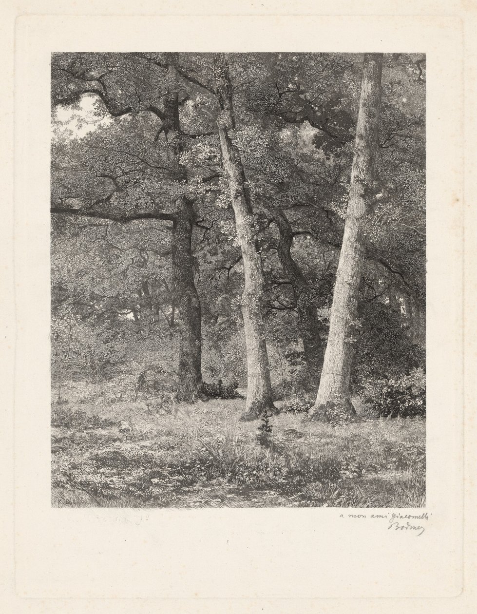 Uma limpeza florestal. de Karl Bodmer