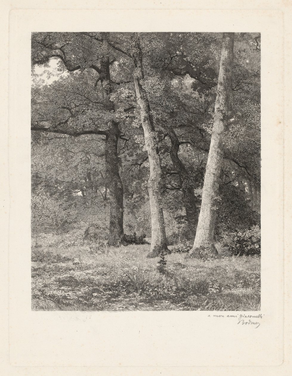 Uma clareira na floresta de Karl Bodmer
