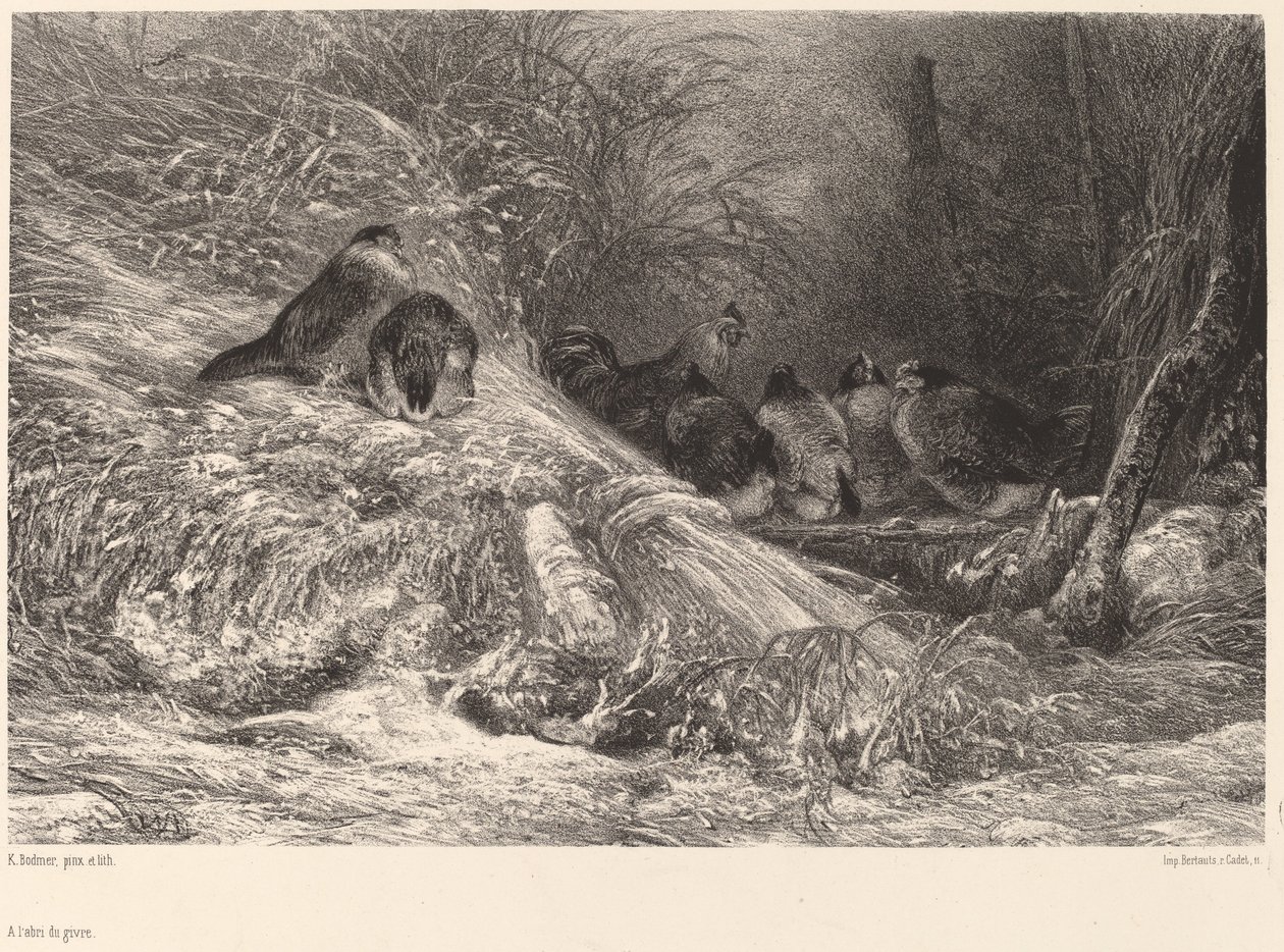 Abrigo da geada de Karl Bodmer