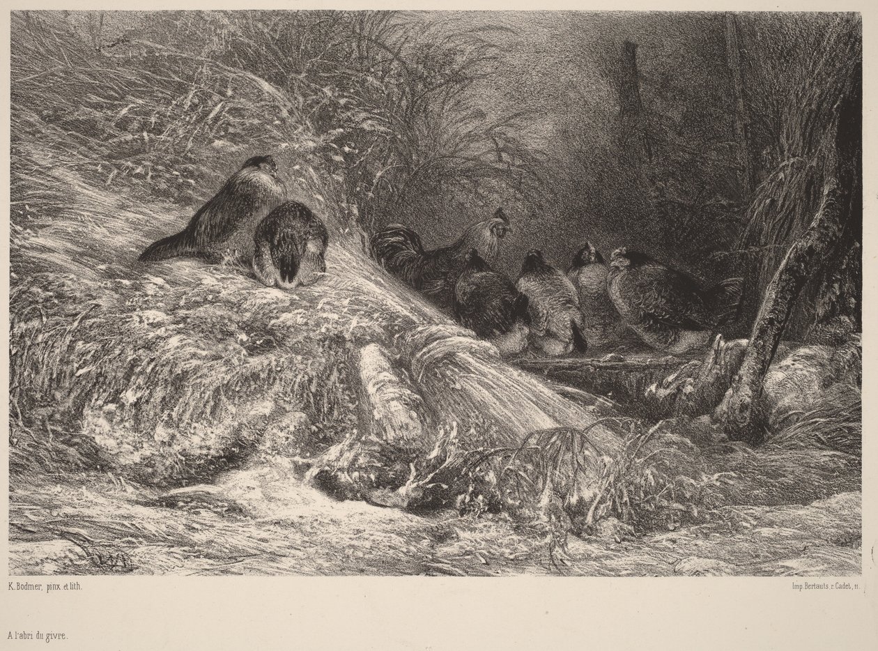 A salvo da geada de Karl Bodmer