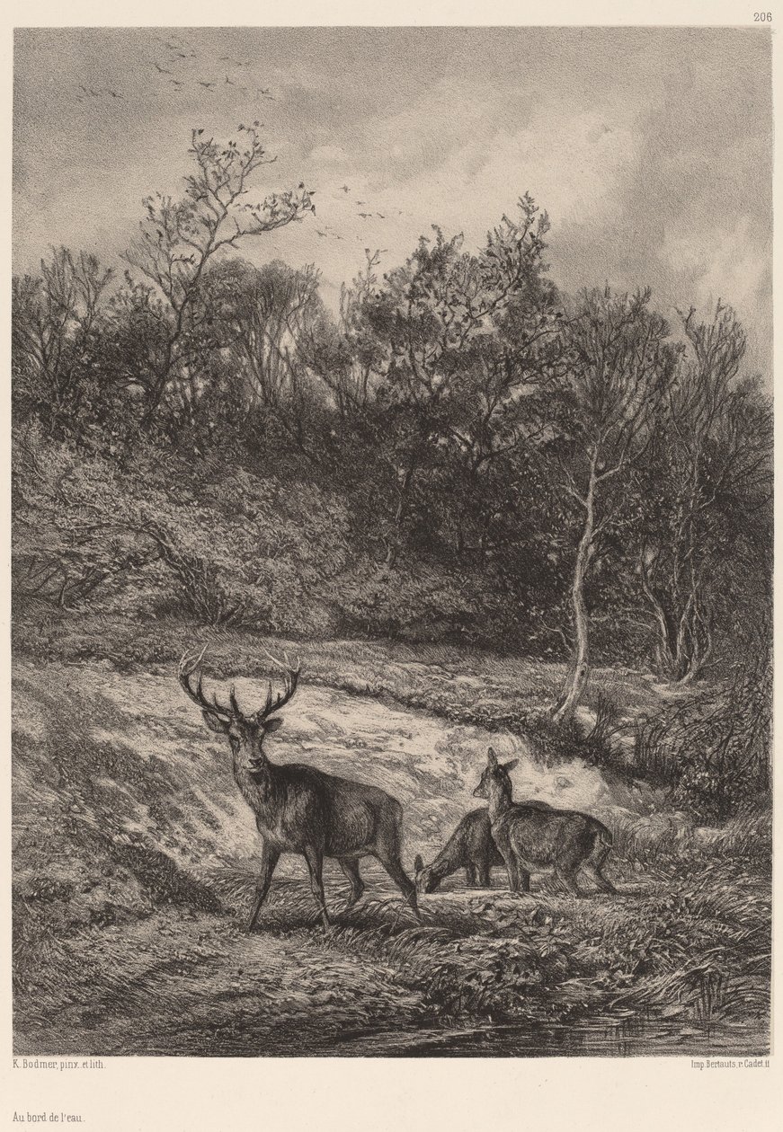 Na beira da água. de Karl Bodmer