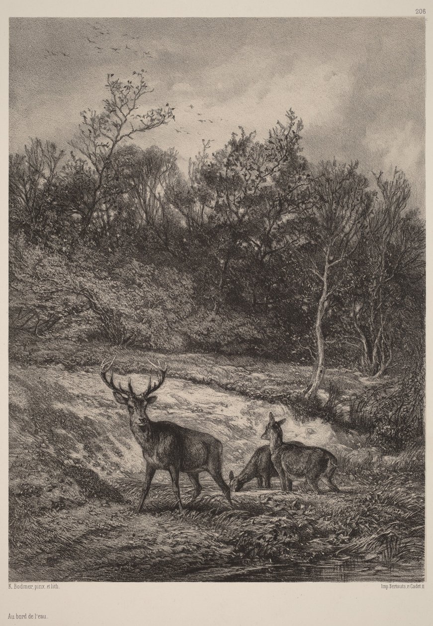 À beira da água de Karl Bodmer