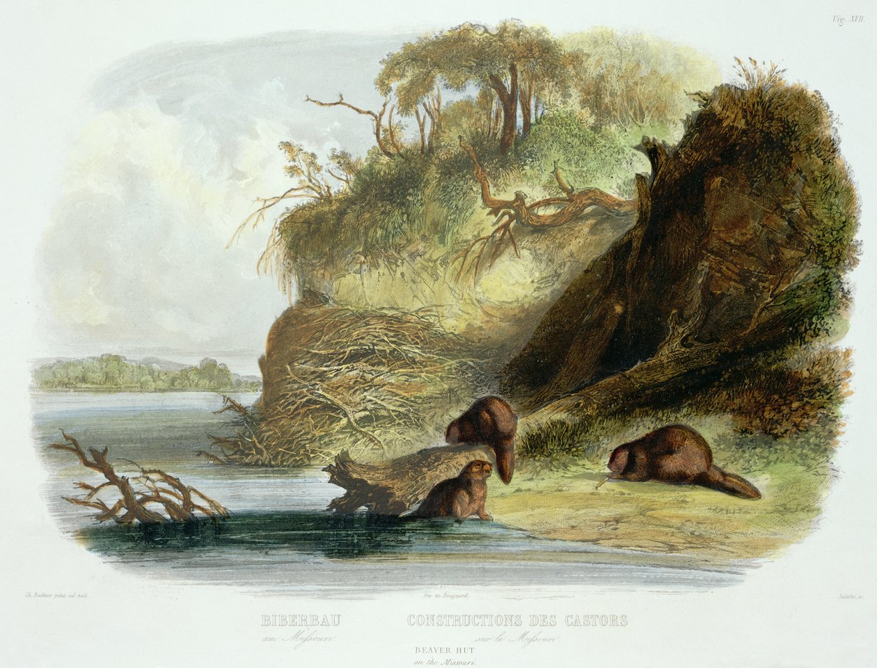 Beaver Hut no Missouri, placa 17 do volume 1 de "Viagens no Interior da América do Norte", gravada por Friedrich Salathe (1793-1858) 1843 (aquatint) de Karl Bodmer