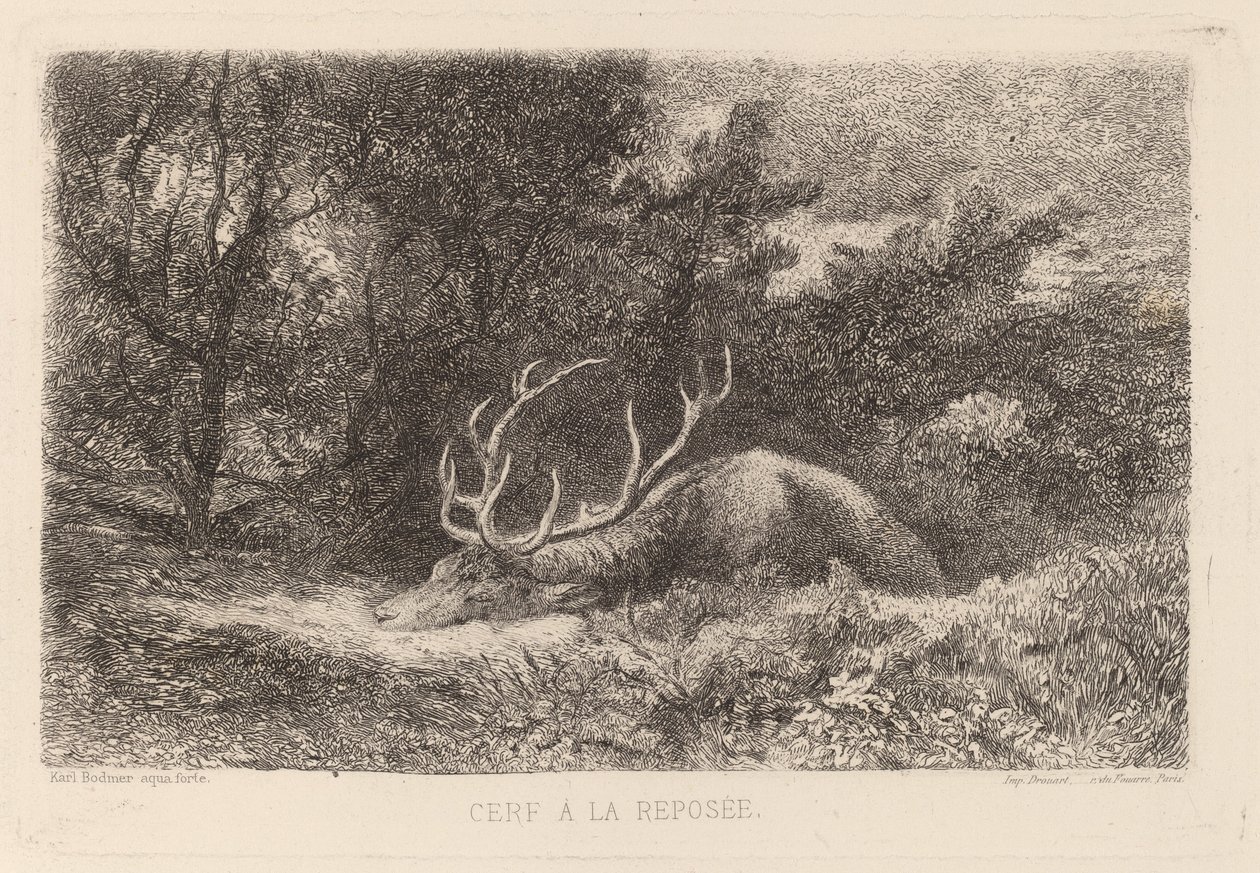 Deer a la Repusee de Karl Bodmer